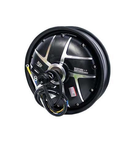 Hub motor Hub motor