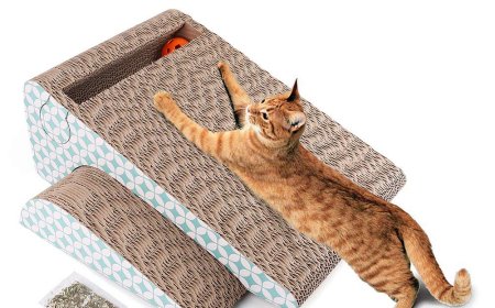 New Corrugated Cardboard Modular Slope Cat Scratcher Launched, the Ideal Companion for Cats