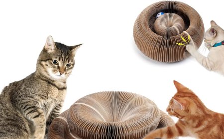 Magical Accordion-Shaped Cat Scratching Board Becomes a New Favorite in the Pet World