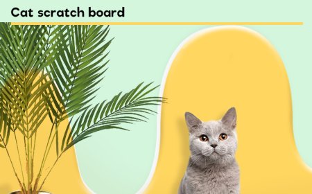 Innovative Oval Cat Scratching Board Made from Corrugated Paper Hits Shelves