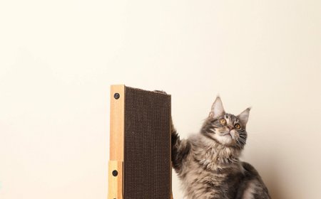 Innovative Design: Corrugated Paper Windmill-Shaped Cat Scratcher Sets New Trend