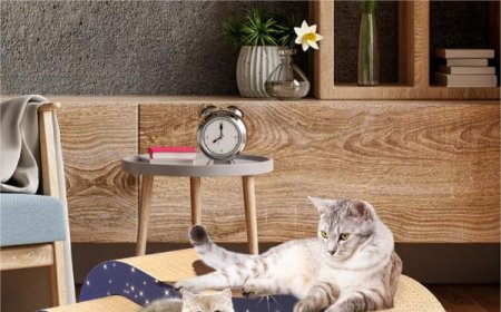 New Corrugated Paper Purple-Edged 2-in-1 Cat Scratcher Sparks Discussion