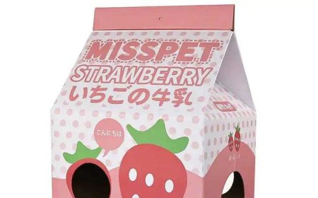 Corrugated Cardboard Milk Carton Cat Bed: Perfect Blend of Creativity and Sustainability