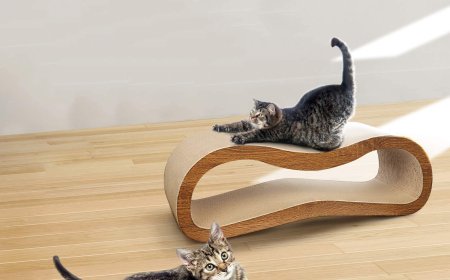 Innovative Design: Dual-Function Lounge Cat Scratcher Debuts