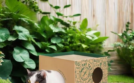 New Eco-Friendly Trend: Corrugated Cardboard Square Cat House Gains Popularity