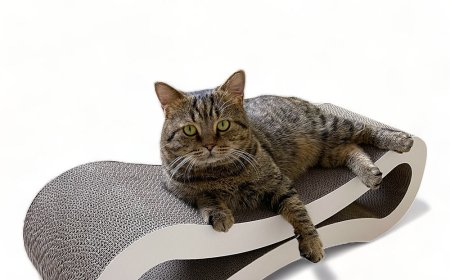 A Blend of Eco-Friendliness and Innovation: Figure-8 Corrugated Cat Scratching Board Becomes a New Favorite