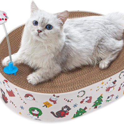 Character Pattern Cat Scratch Bowl