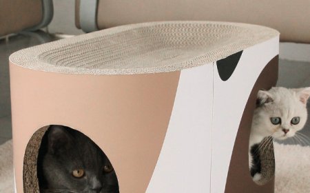 Innovative Home Design: The Eco-Friendly and Comfortable Elliptical Cat House