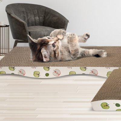 Fresh Fruit Pattern Cat Scratch Board