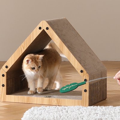 Resistant Cat Scratching House