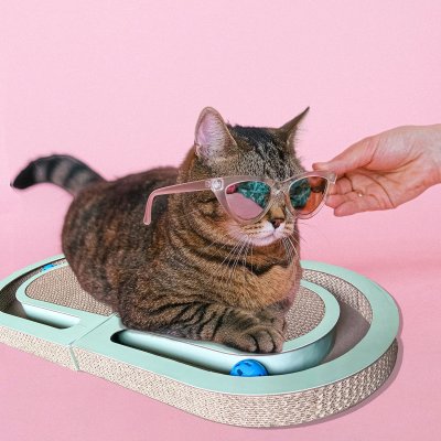 Double-Sided Folding Cat Scratching Board