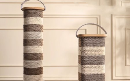 Innovative Lantern-Style Cat Scratching Post Offers a New Interactive Experience for Cats