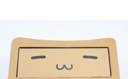 Innovative Drawer-Style Cat Scratcher: A New Choice for Happy Cats with Eco-Friendliness and Functionality