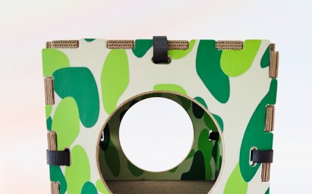 Camouflage Cat Scratcher House: A Perfect Blend of Eco-Friendliness and Style