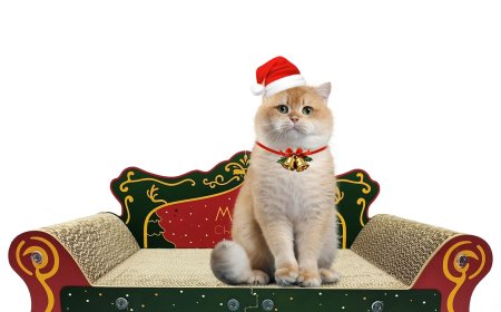 Christmas Sofa Cat Scratcher—Let Your Pet Enjoy the Holiday Spirit