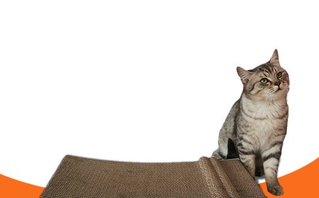 Innovative Crocodile-Shaped Cat Scratching Board Provides Ideal Scratching Experience for Cats