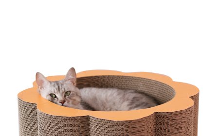Advantages and Uses of Flower-Shaped Cat Bowl Scratching Pads