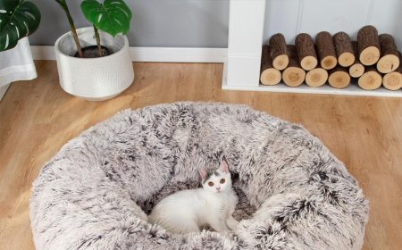 Multi-Functional Cat Tunnel: The Perfect Choice for Play and Rest