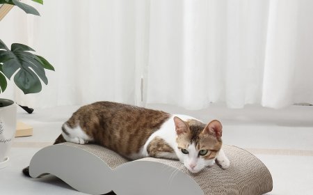 Corrugated Paper Cat Scratchers: The Eco-friendly and Innovative New Favorite in Pet Supplies