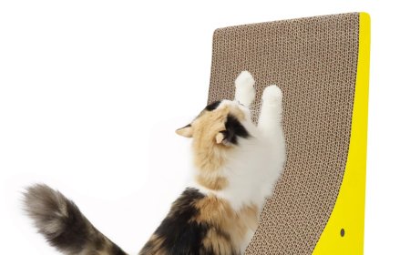 Elephant-Shaped Corrugated Cardboard Cat Scratcher, A Perfect Blend of Pet Care and Environmental Consciousness