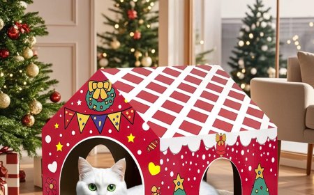 Christmas Cat House Scratcher—Bringing Warmth and Joy to Your Feline Friend