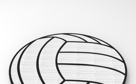 Corrugated Cardboard Cat Scratching Board: A Rising Star in Pet Supplies