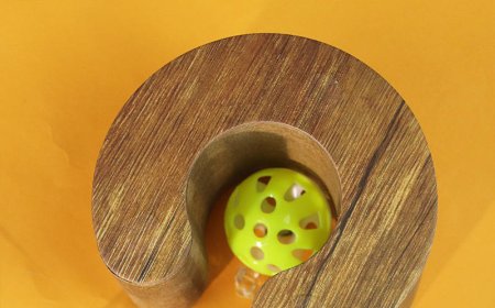 Corrugated Paper Cat Scratchers: A Perfect Combination of Environmental Friendliness and Practicality