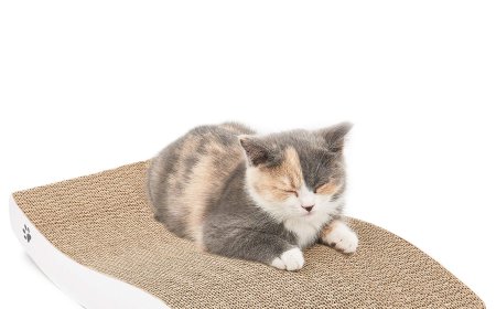 Corrugated Paper Cat Scratcher: A New Force in Pet Supplies, Propelled by Factory Strength for Market Growth