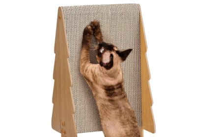 Corrugated Paper Cat Scratchers: Pioneering a New Trend in Pet Supplies with Environmental and Practical Innovation