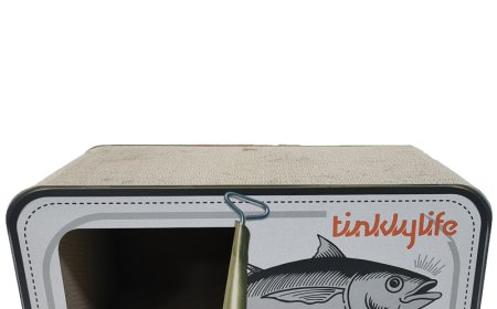 Corrugated Paper Cat House Scratcher: A New Trend of Environmental Protection and a New Favorite for Cats