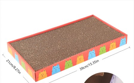 Cat Scratching Posts: A New Favorite in the Pet Supplies Market