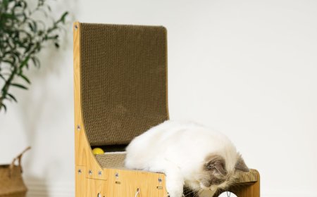 Chair - Shaped Corrugated Paper Cat Scratcher: A New Trend in Pet Supplies