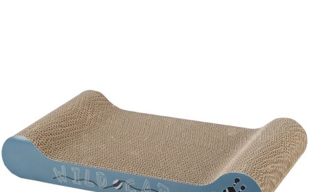 Bone-Shaped Corrugated Cardboard Cat Scratcher: The Perfect Playground for Cats