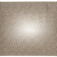 trixie-wild-cat-scratching-cardboard-48000