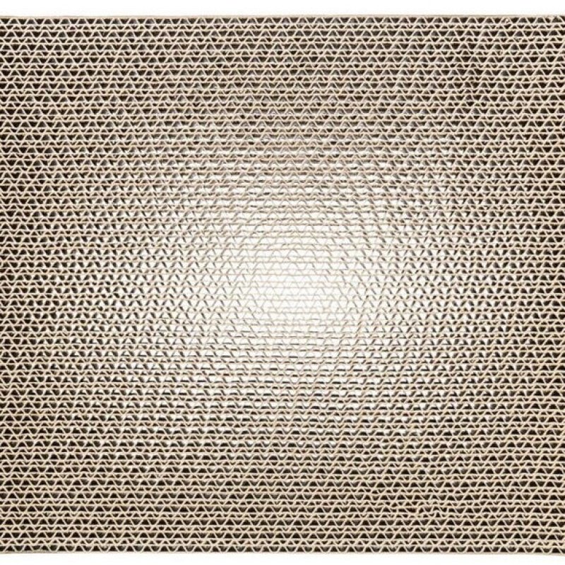 trixie-wild-cat-scratching-cardboard-48000