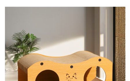 Sustainability and Smart Design: How the Cat Scratcher Market Is Evolving
