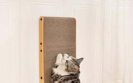 Why Cat Scratchers Are Not a Low-Value Product Anymore