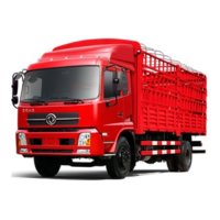 Dongfeng truck