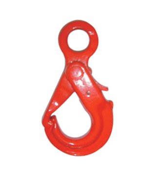 G80 Eye selflock hook