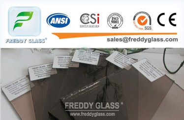Euro Bronze Float Glass 
