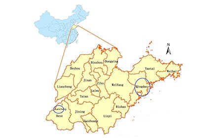 Top 5 Hair Production Base in China