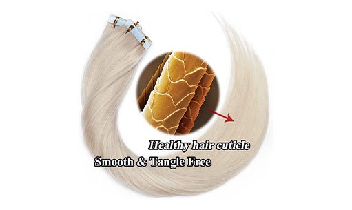 _0001_图 01 Cuticle