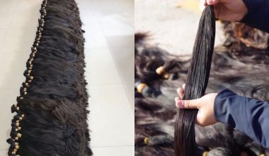 Raw Material Inspection