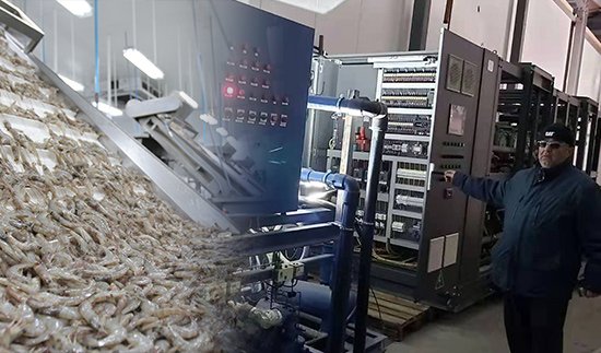 Proyecto de unidad de CO2 transcrítico, Bulgaria