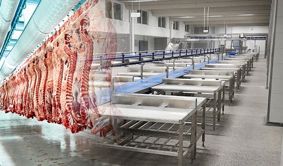 Procesamiento de carne de res Bindaree 300000T