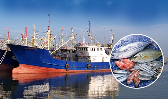 Proyecto de barco de pesca francés