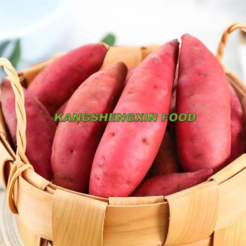 Свежий сладкий картофель