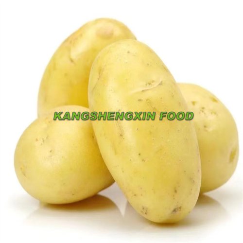 Свежий картофель