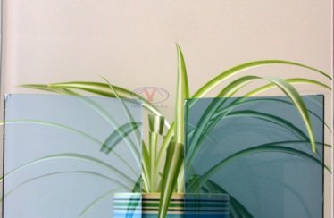 Ford Blue Reflective Glass