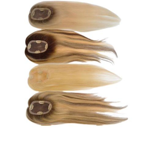 Human Hair Wigs 01